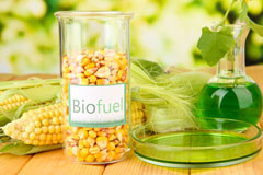 Bryn Yr Ogof biofuel availability